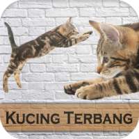 Game Kucing Terbang - Permainan Game Kucing Baru