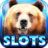 Slot Machine: Bear Slots