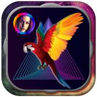 Birds Frame - Best HD Photo Frames Editor on 9Apps