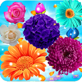 Blossom Mania Legend icon