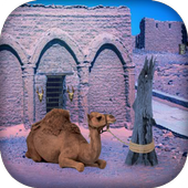 ikon Escape Game - Desert Camel