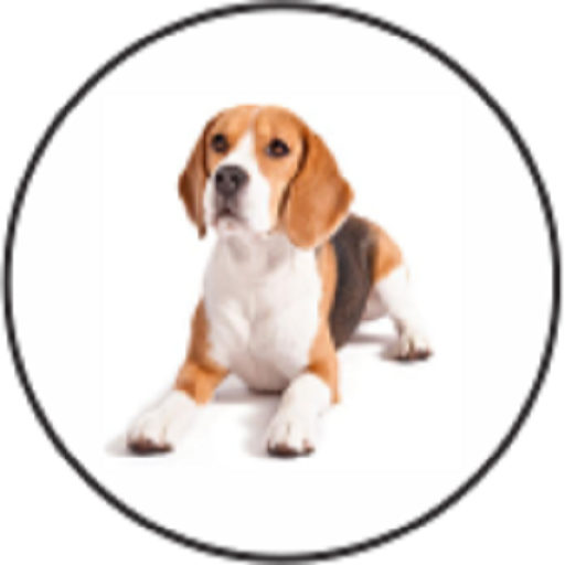 Domestic Animals Sounds icon