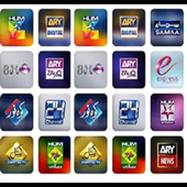 Pakistani Web TV icon