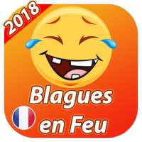 Blagues en Français Courtes