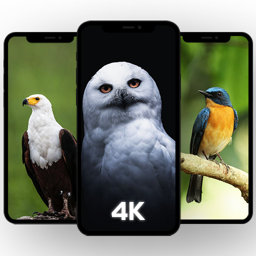 🦅 Birds Wallpaper HD icon