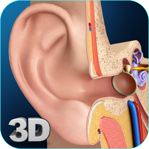 My Ear Anatomy icon