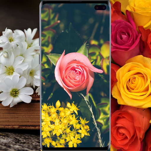 flowerry: Flower Wallpapers HD icon
