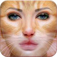 Animale Viso Foto editore on 9Apps