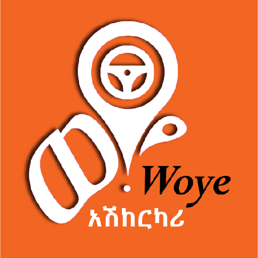 Woye Driver icon