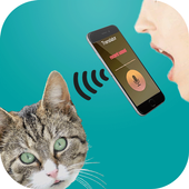 translator for cats simulator icon