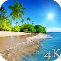 Beach 4K Live Wallpaper on 9Apps