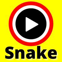 Snake Video