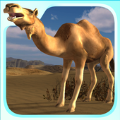 Camel Attack icon