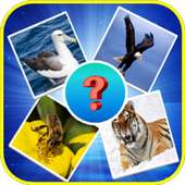 Guess Animal Quiz