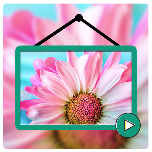 Video Live Wallpapers HD - VidWalls Pro icon