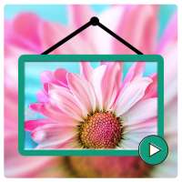 Video Live Wallpapers HD - VidWalls Pro on 9Apps