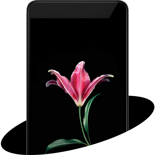 Theme For Xiaomi Mi Max | Mi MIX | Mi MIX 2 icon