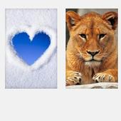 Mobile Wallpaper app icon