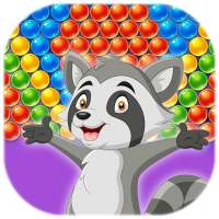 Raccoon Rescue Bubble