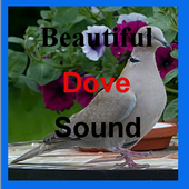 Beautiful Dove Sounds icon