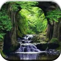 Best Daily Bless Inspiring Quotes