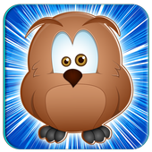 Bird Matching Games icon