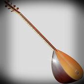 Virtuelle Baglama icon