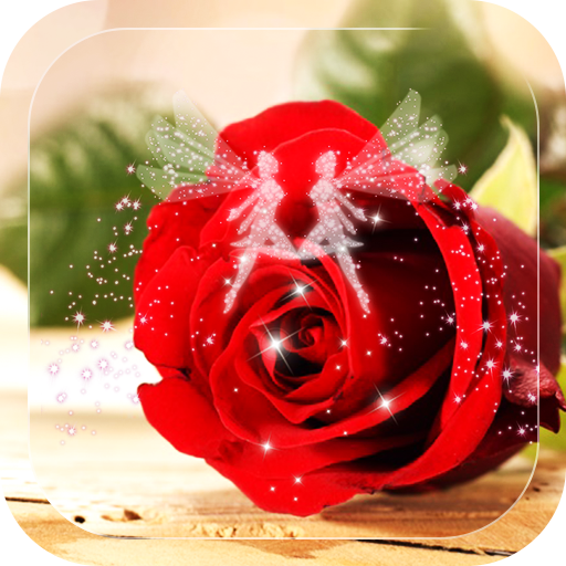 Red Rose Wallpaper icon