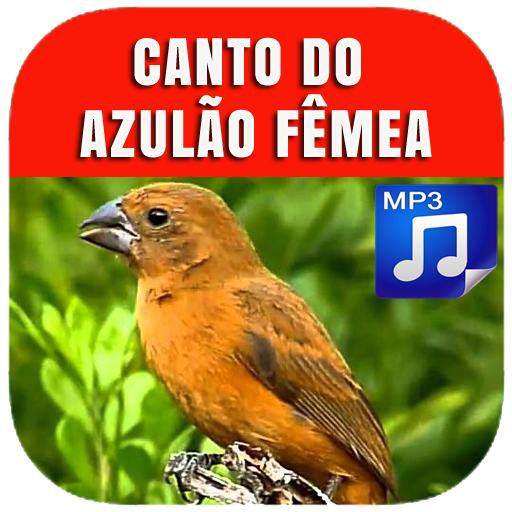Canto Do Azulão Fêmea NEW icon