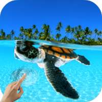 Turtle Underwater 3D Wallpaper