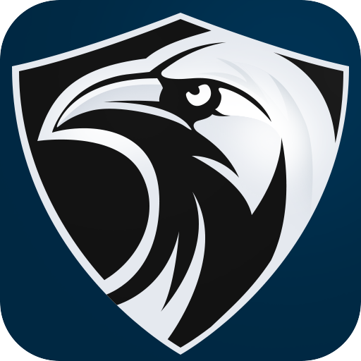 Raven Vpn icon