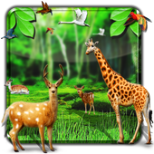 Forest HD Live Wallpaper icon