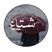 Win ter أيقونة