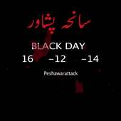 peshawar  aps school sad mp3 on 9Apps