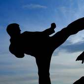 Shadow Fight 3 Wallpaper