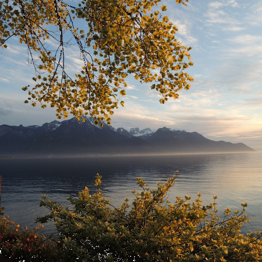 Investing Wisdom icon