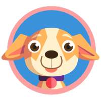 The Cute App - Dogs & Cats