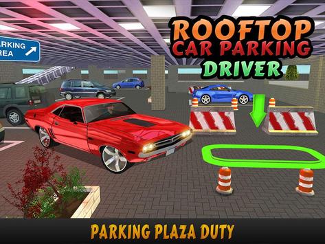 Rooftop Car Parking Driver screenshot 11