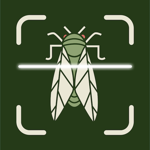 Insect Bug Identifier App icon