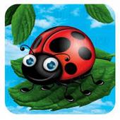 Super Lady bird game icon
