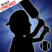 Cricket Game 2020 icon