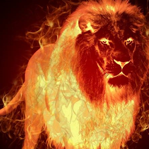 Fire Lion Wallpapers icon