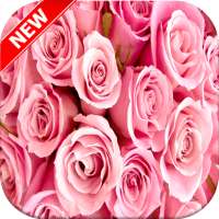 Pink Rose Wallpaper - Rose Wallpaper on 9Apps