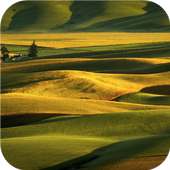 Elegant nature. Live wallpaper on 9Apps