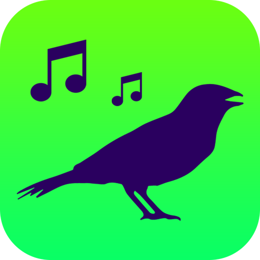 All Birds of North America - Birds Songs icon