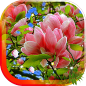 Flowers Spring live wallpaper icon