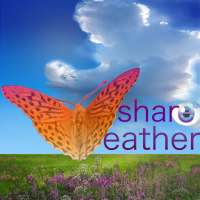 ShareWeather on 9Apps