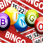 Bingo Quest icon
