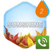 PP Theme – Sunshine on 9Apps