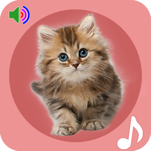 Cat Sounds Ringtones icon